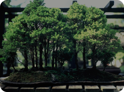 Bharata Herbalku | Testimoni Produk VERDILLA BHARATA